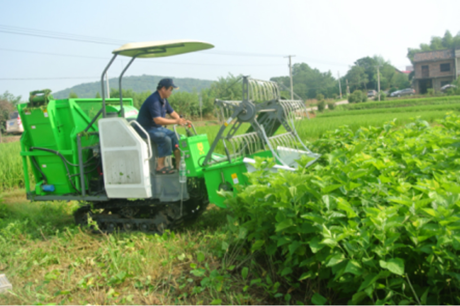 湖南省milan米兰足球盛泰农业科技有限公司